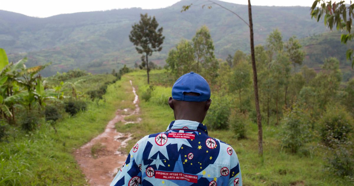 Rwanda Rising Huck's Rwanda Rising series: an artistic renaissance in the… | Huck