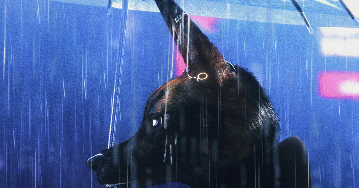 Bouchra review – idiosyncratic furry cinema Bouchra review – idiosyncratic furry cinema