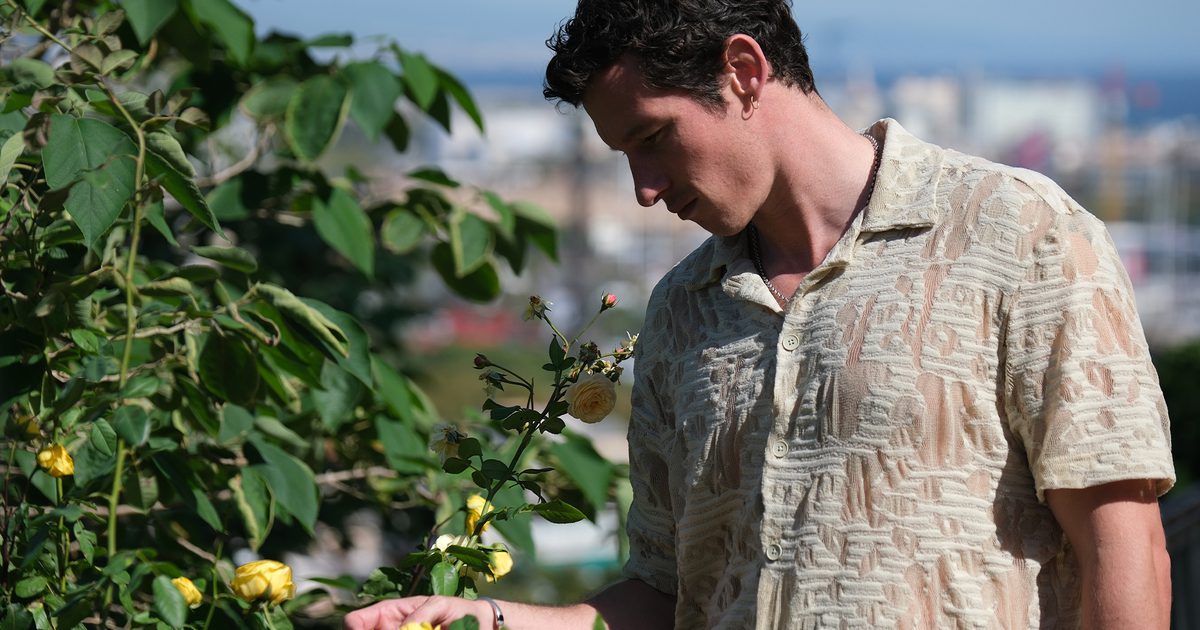 Rosebush Pruning review – a dark-hearted,… Rosebush Pruning review – a dark-hearted,…