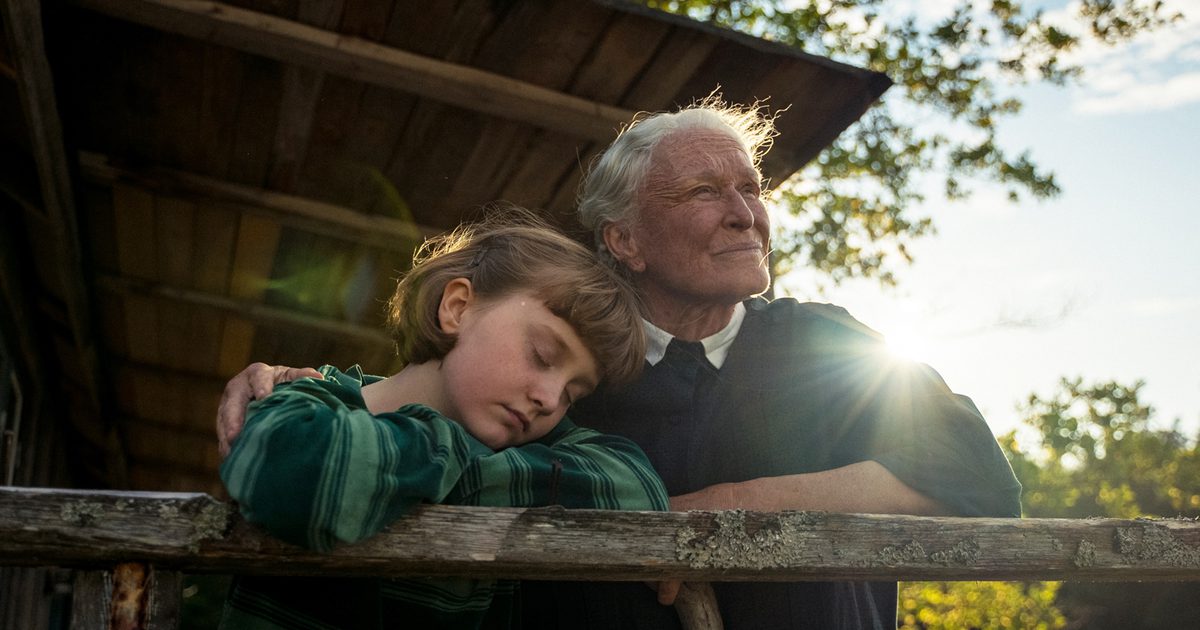 The Summer Book review – dismally cosy The Summer Book review – dismally cosy
