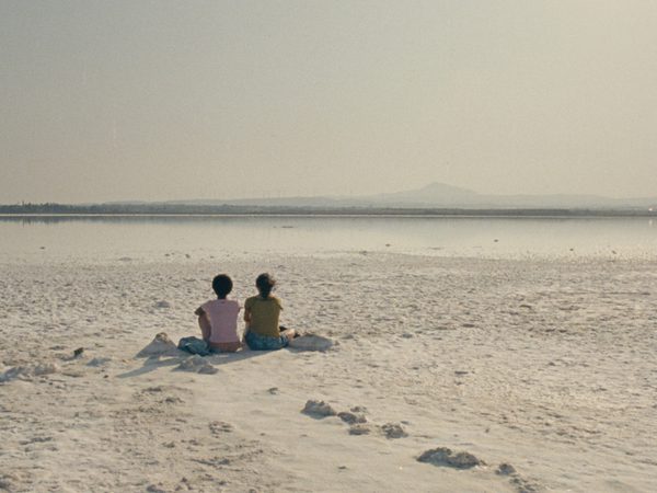 The Lion at My Back – first-look review The Lion at My Back – first-look review